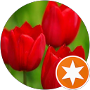 Laura L profile picture